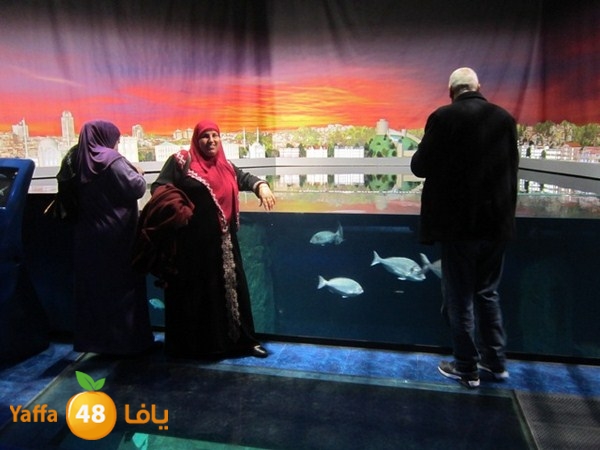 istanbul42500 (9).JPG